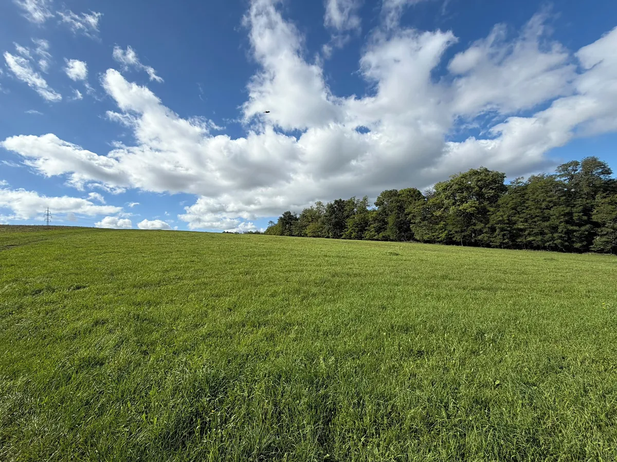 Prodej pole 44747 m²